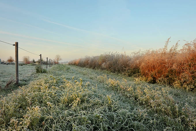 aspergeveld 11-2011 2941