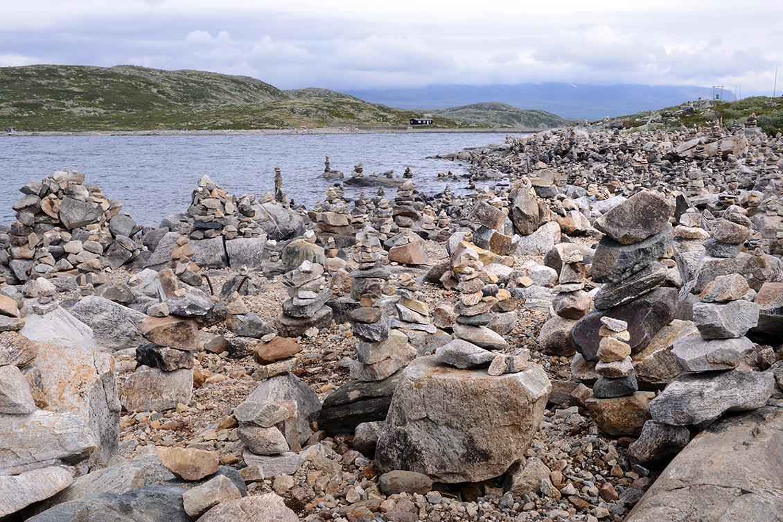 cairn hardangervidda 7-2018 6707