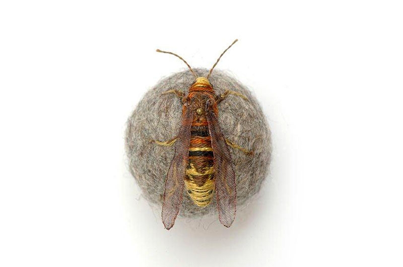 claire moynihan hornet