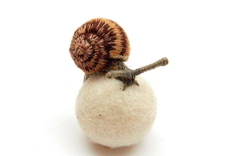 claire moynihan snail