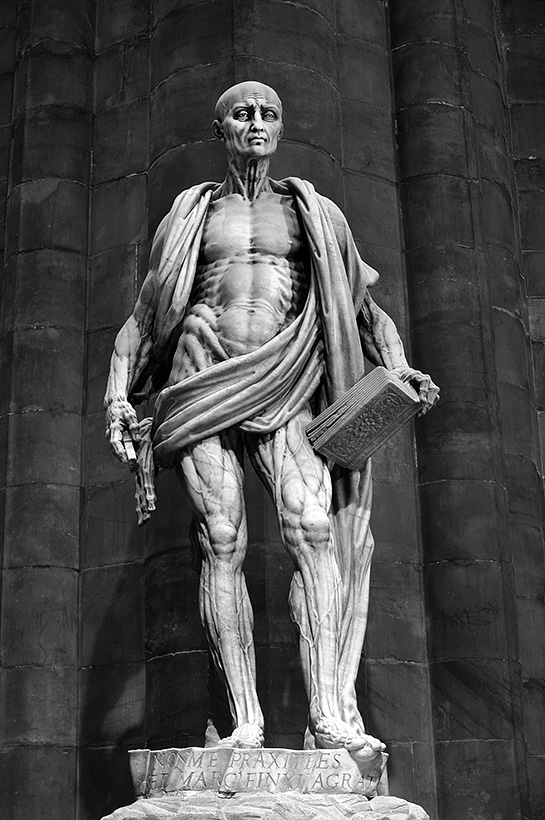 dAgrate Bartholomeus Milaan 8-2017 1764