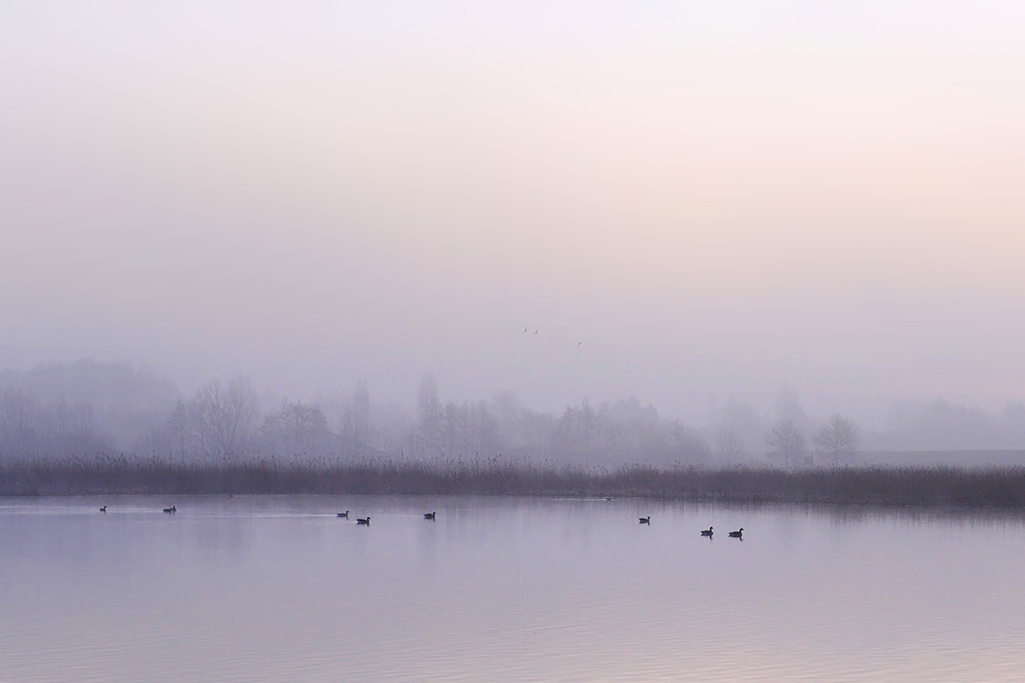 de groene jonker 3-2018 1668