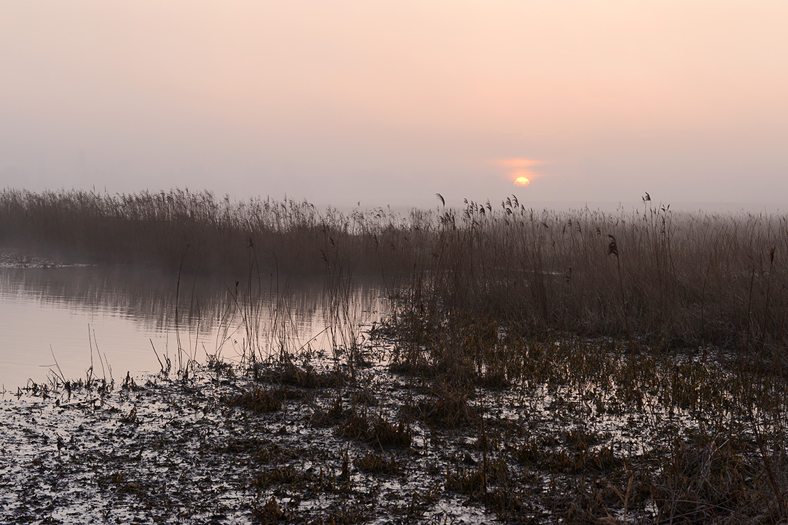 de groene jonker 3-2018 1682
