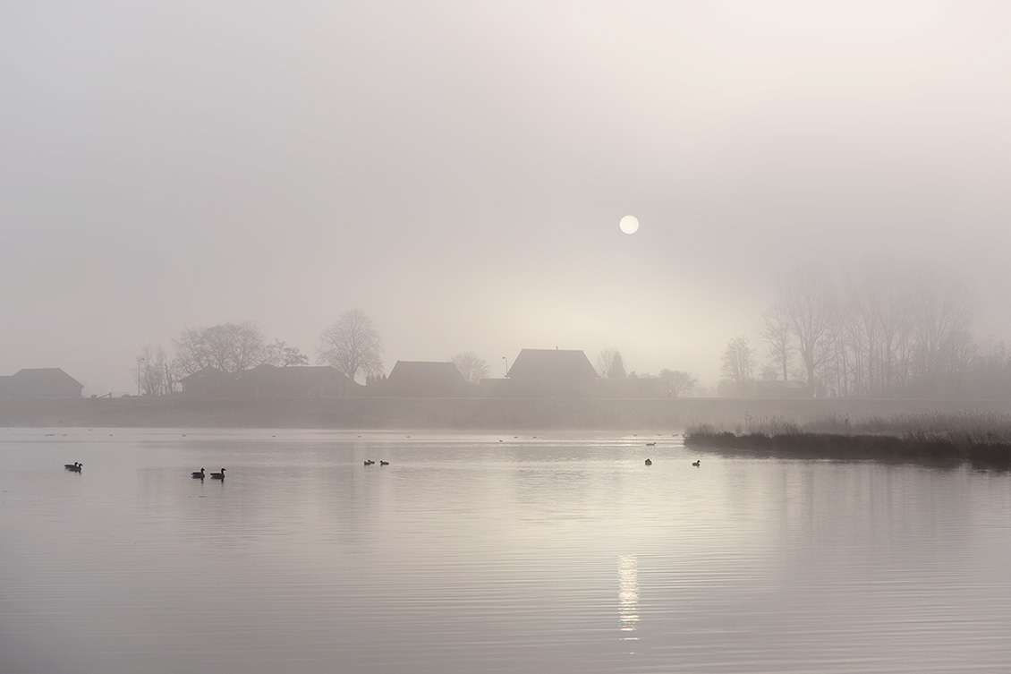 de groene jonker 3-2018 1879