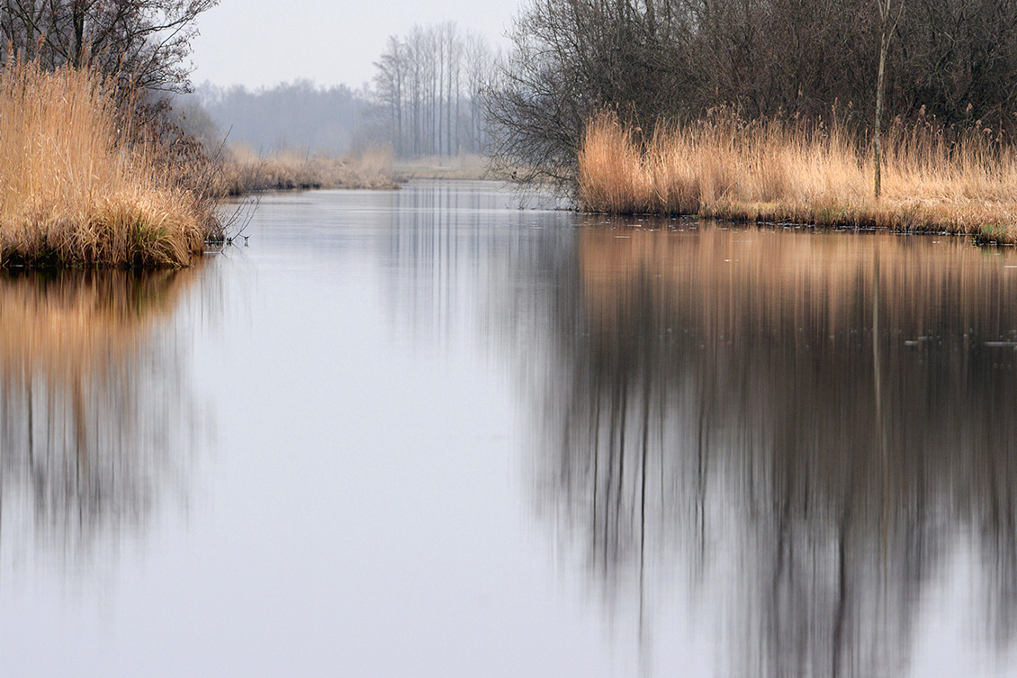 de wieden 3-2018 3252