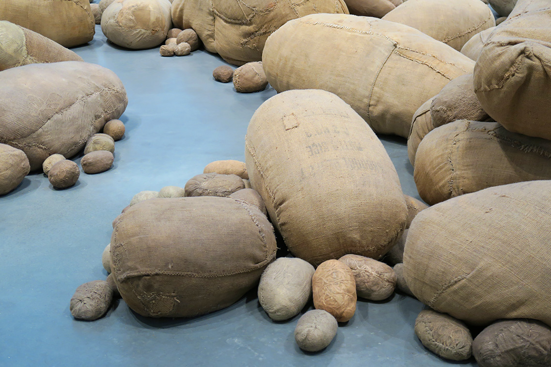 embryology 4-2018 4858