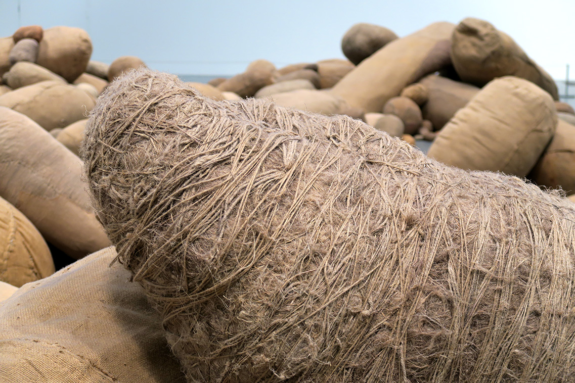 embryology 4-2018 4859