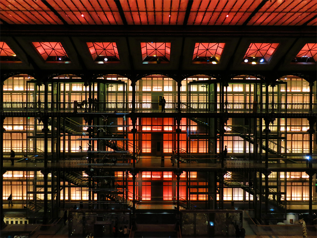 grande galerie de l evolution 12 2015 8361