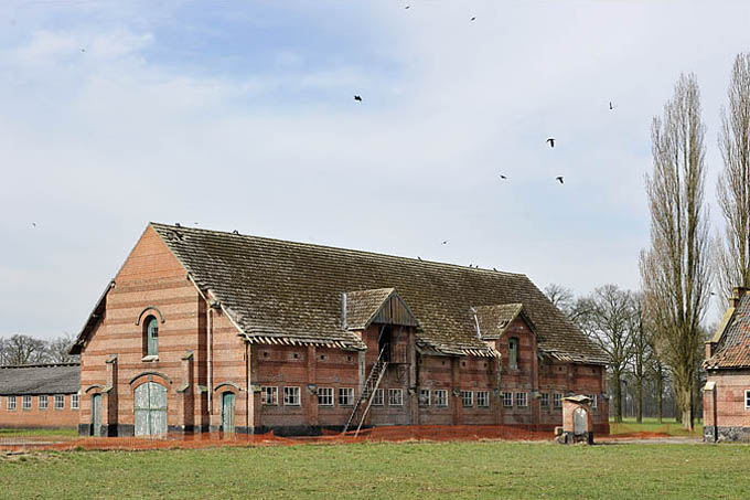 grote hoeve merksplas 03-2010 5839