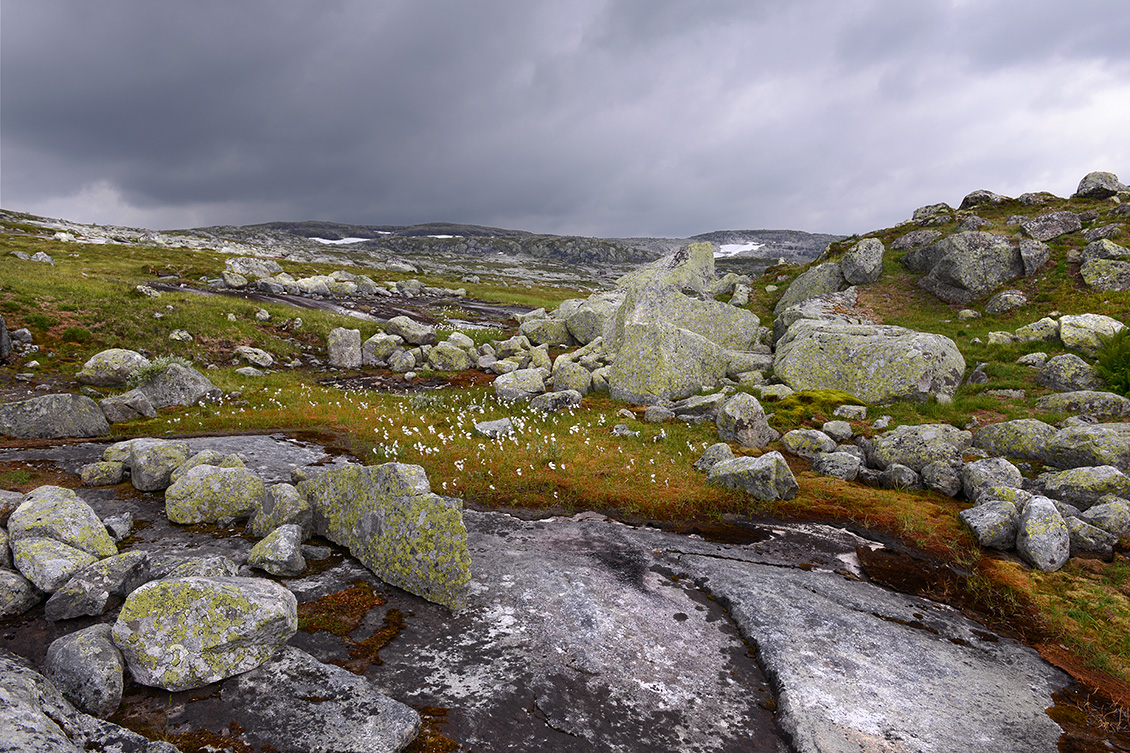 hardangervidda 7-2018 6164