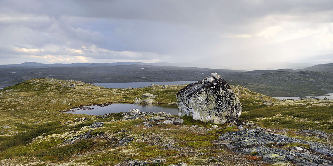 hardangervidda 8-2013 6499
