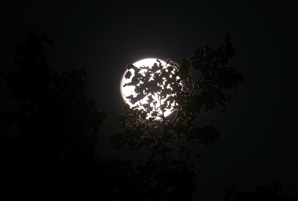 maansverduistering 27-09-2015 4052