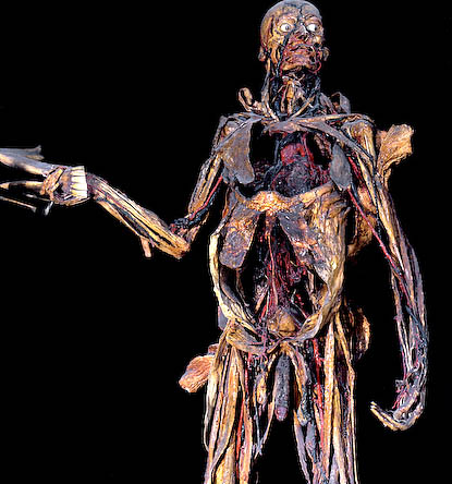 man met kaak fragonard