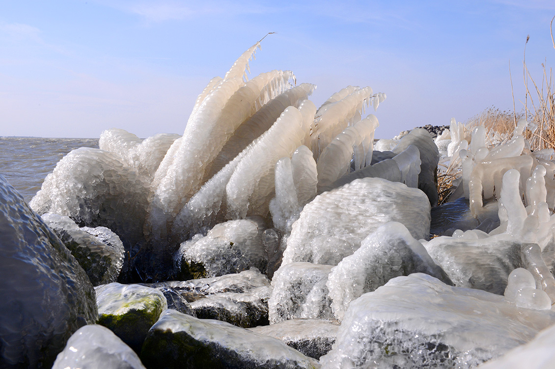 markerwaarddijk 3-2018 3019