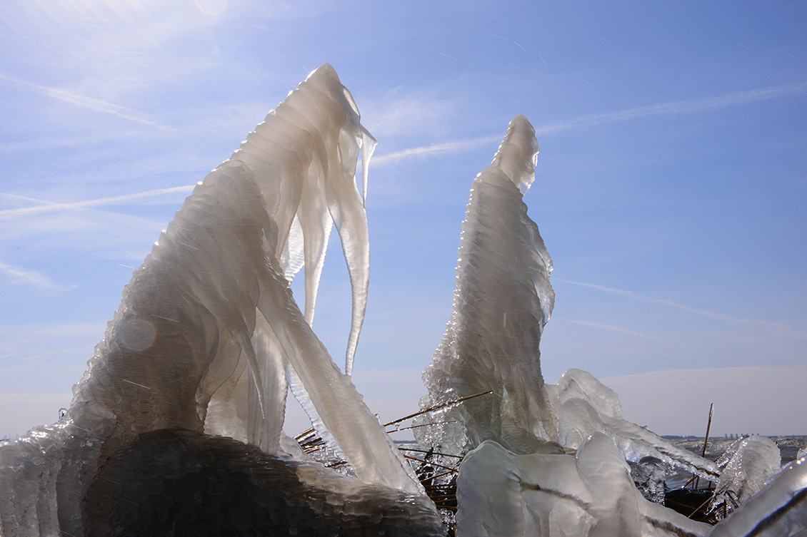 markerwaarddijk 3-2018 3053