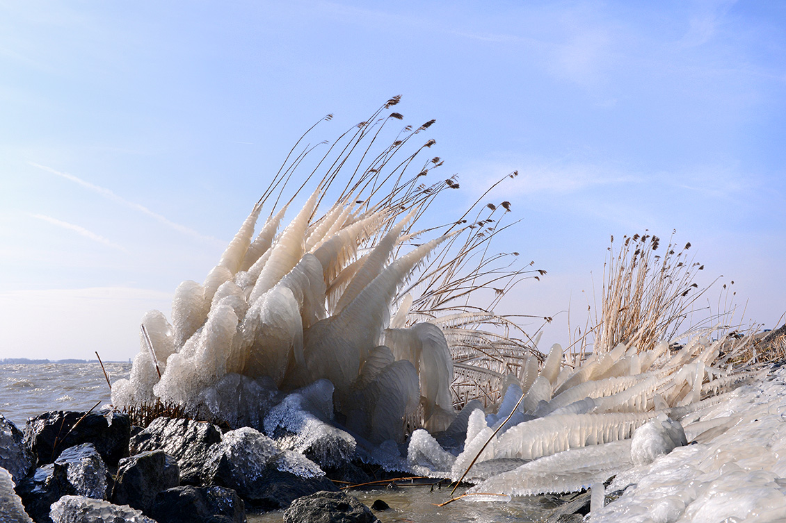 markerwaarddijk 3-2018 3073