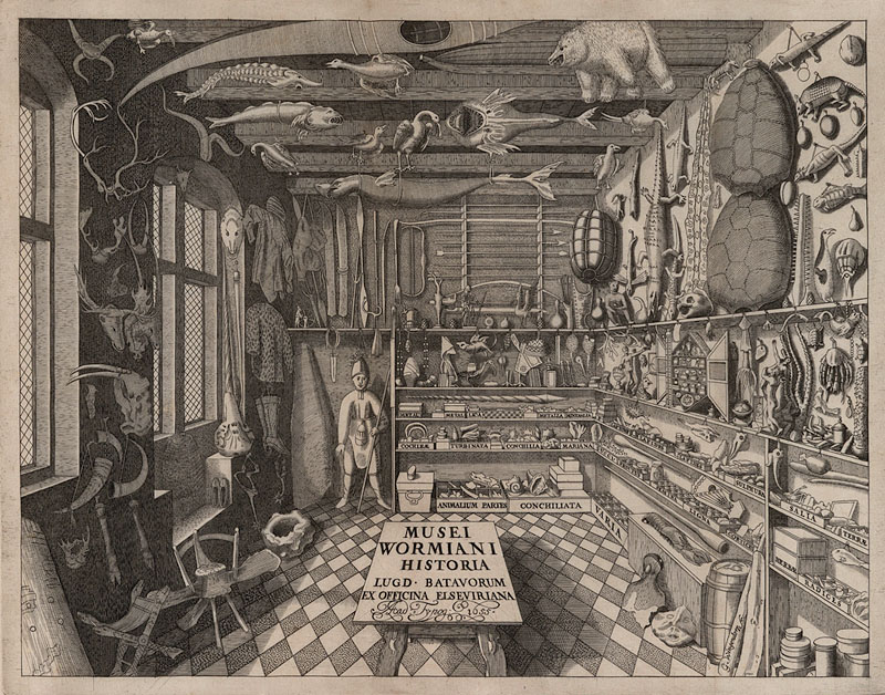 musei wormiani historis 1655