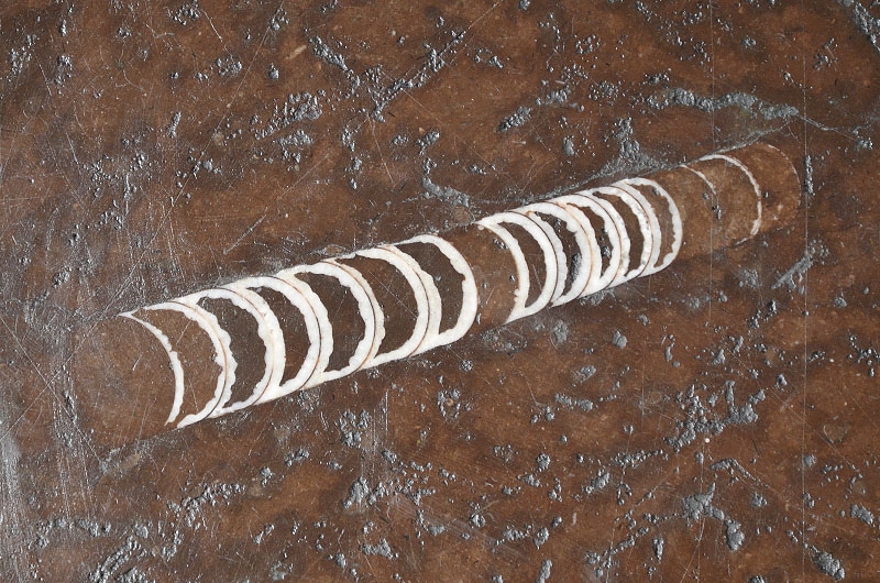 orthoceras fossiel in vloertegel kerk malmo 8-2013 7010