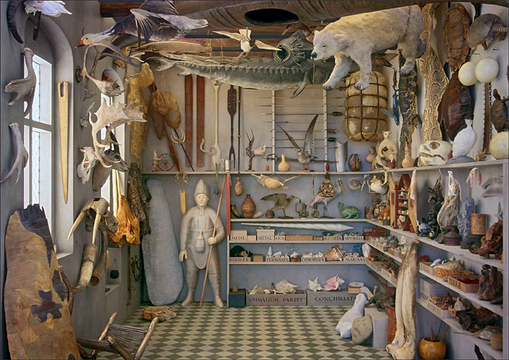 purcells reconstructie van Olaus wunderkammer