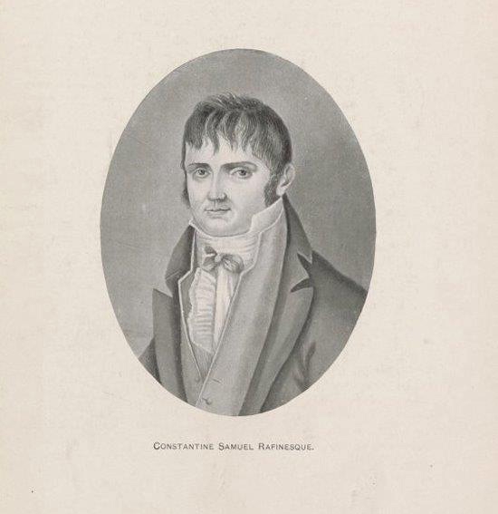 rafinesque