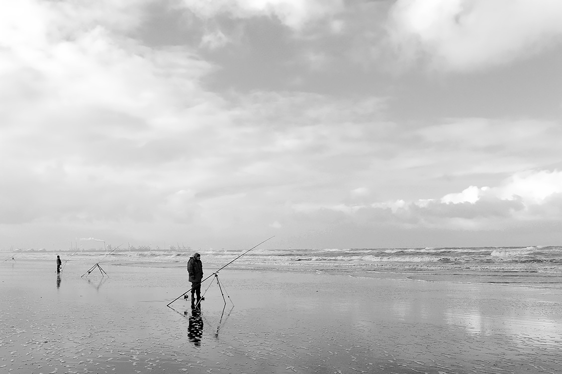 s-Gravenzande 11-2017 8303