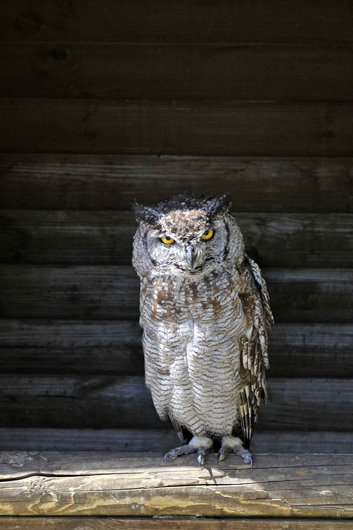 uil bouillon 7-2012 5122