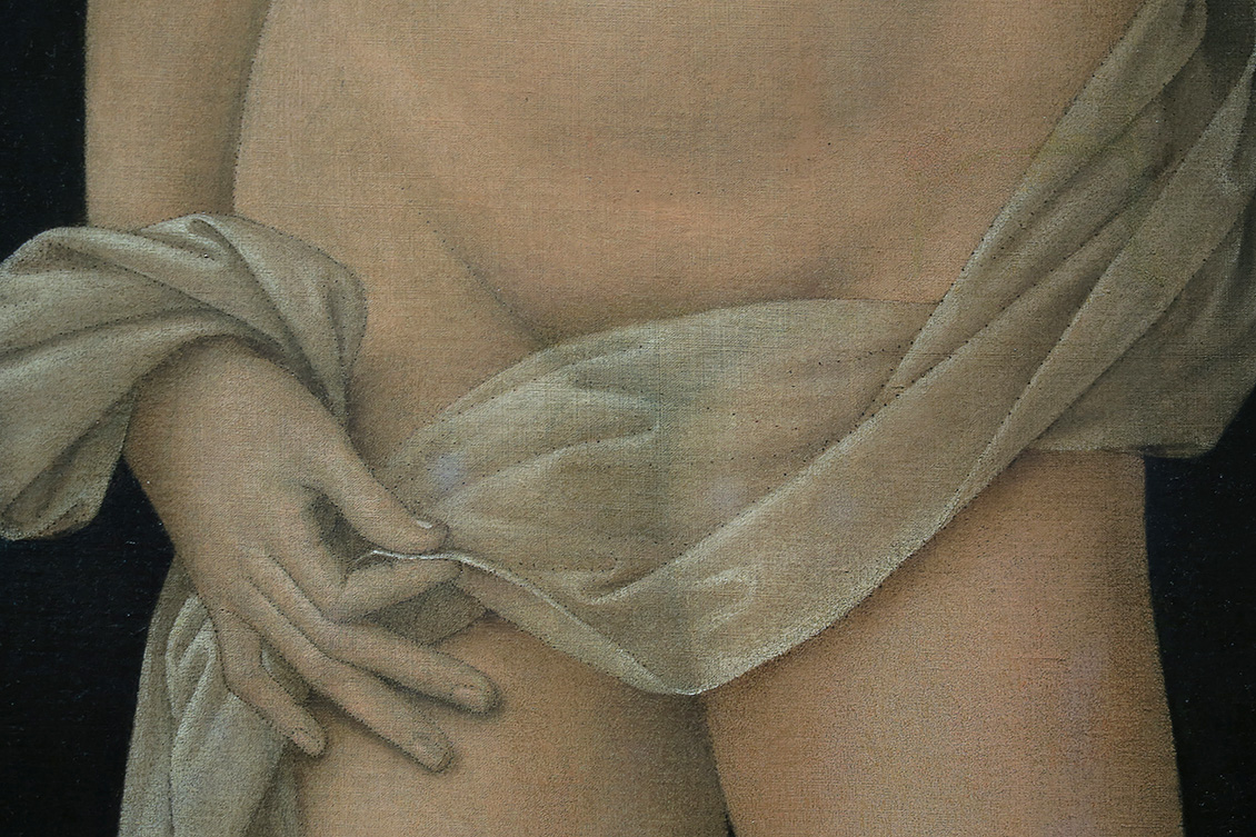 venus-lorenzo di credo (1490) 8-2017 4092