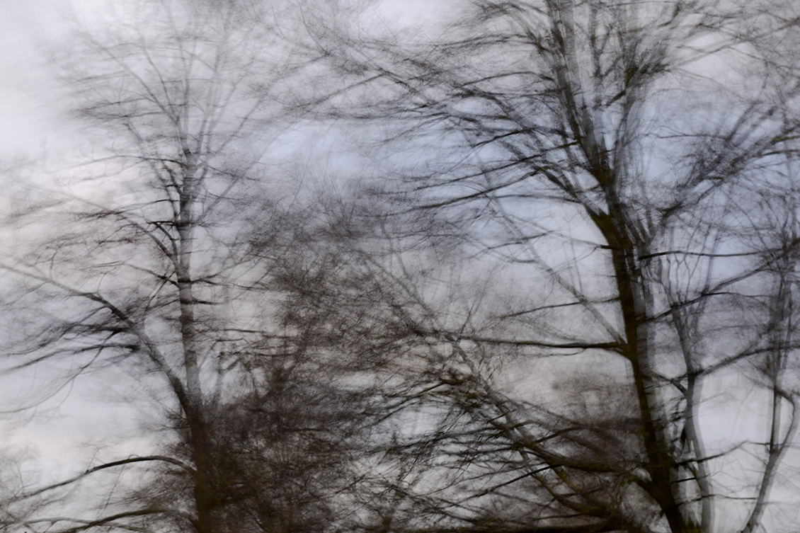 westerstorm 1-2018 9771