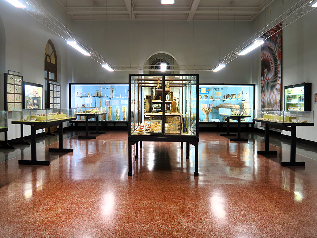 Museo Giacomo Doria 7-2019 7785