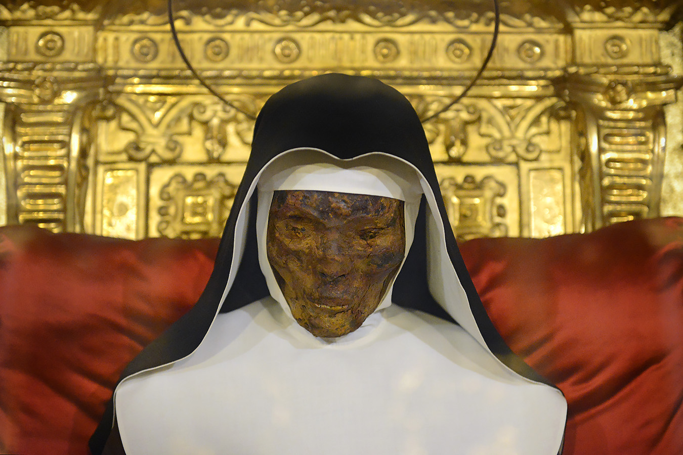 Santa Caterina da Bologna 8-2022 4304