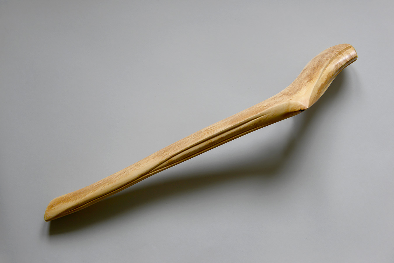 ZGK 3 (femur) 11-2023 9322