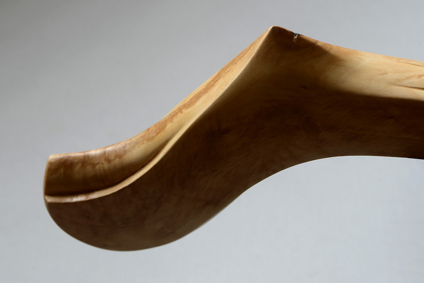 ZGK 3 (femur) 11-2023 9346