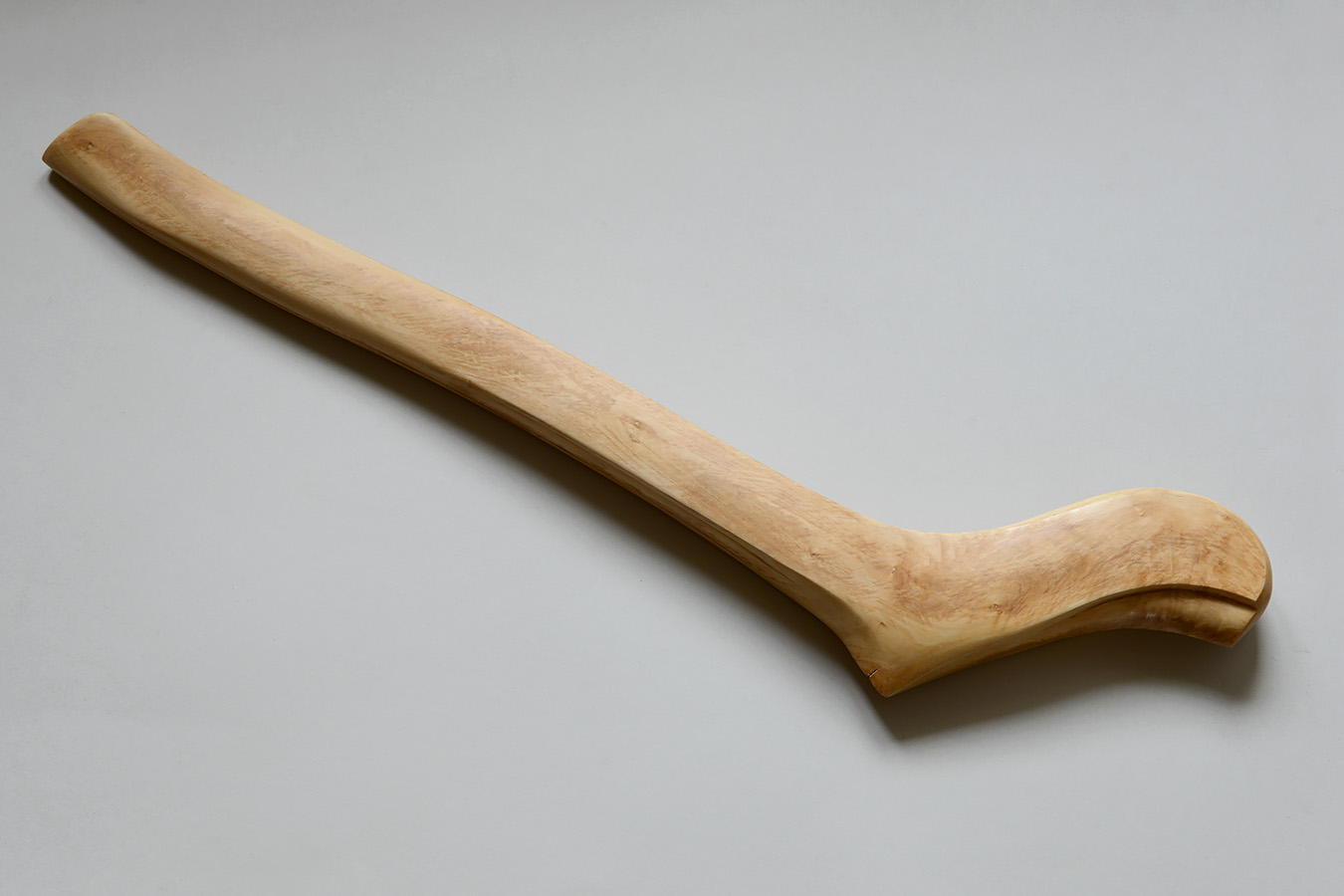 ZGK 3 (femur) 11-2023 9349