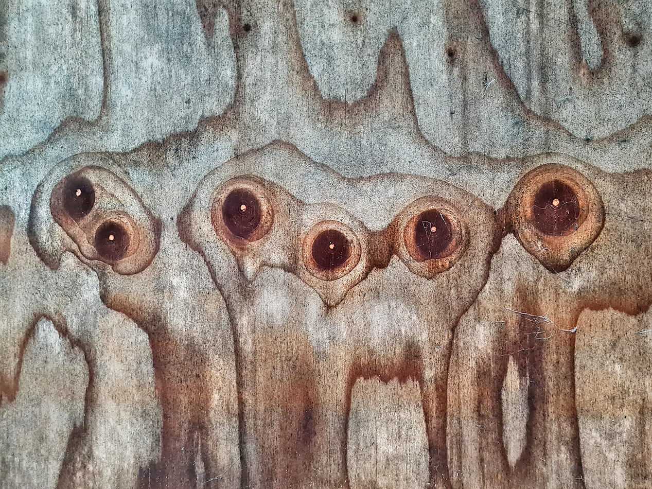 achterkant billboard 11-2022 100857