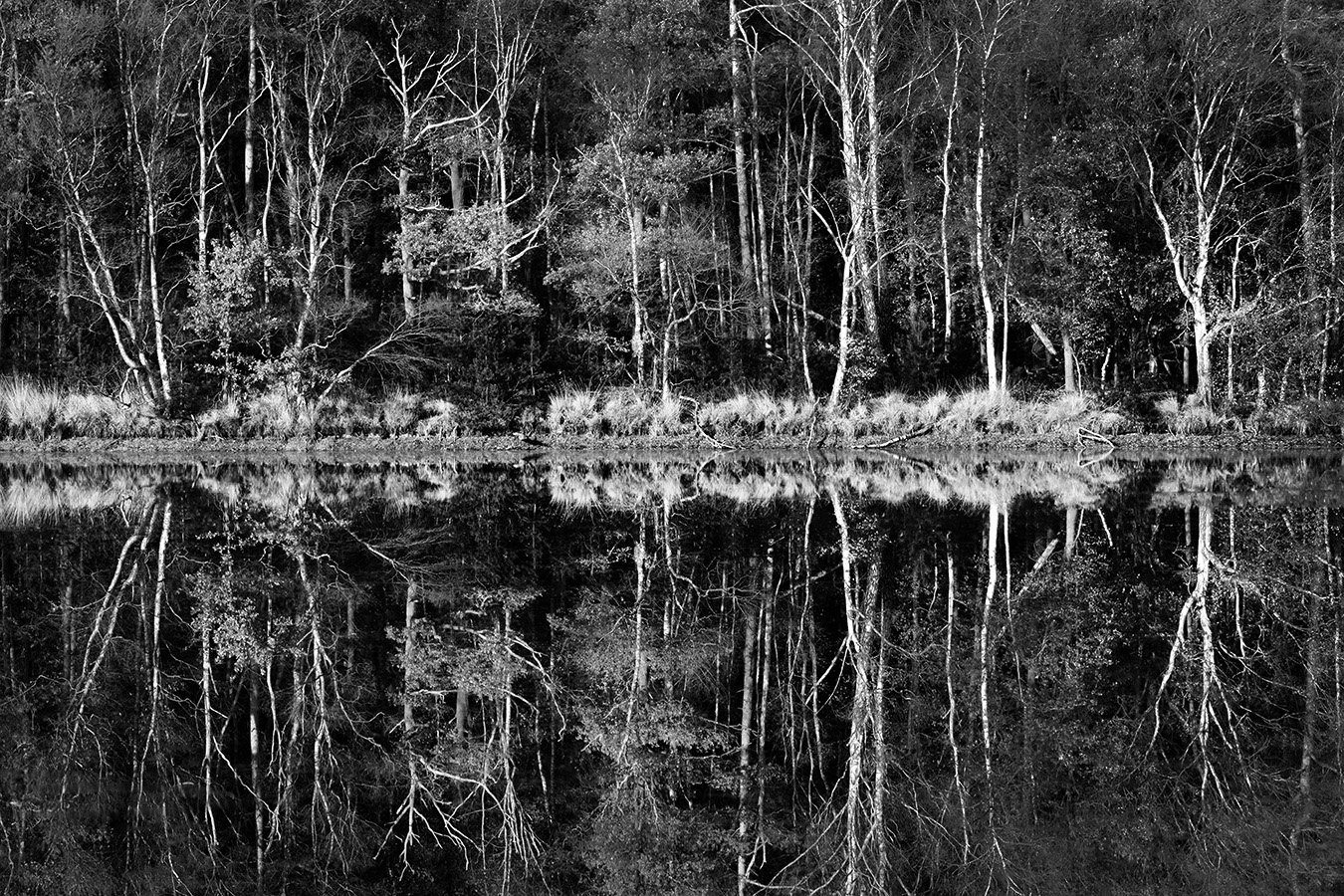 bodemven 11-2019 0810-