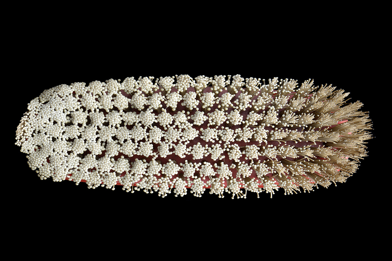 borstel 2-2023 6591-