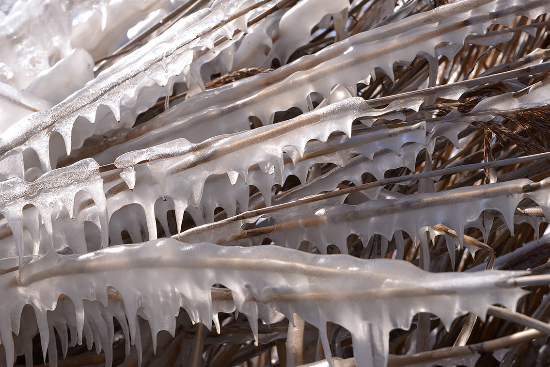 enkhuizen 2-2021 6003