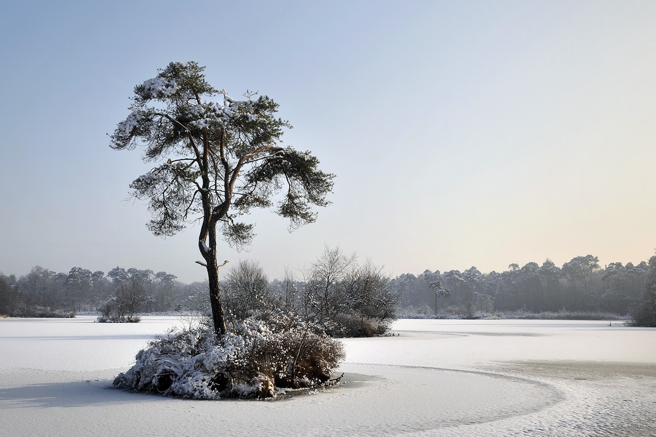 groot goorven oisterwijk 1-2010 9100