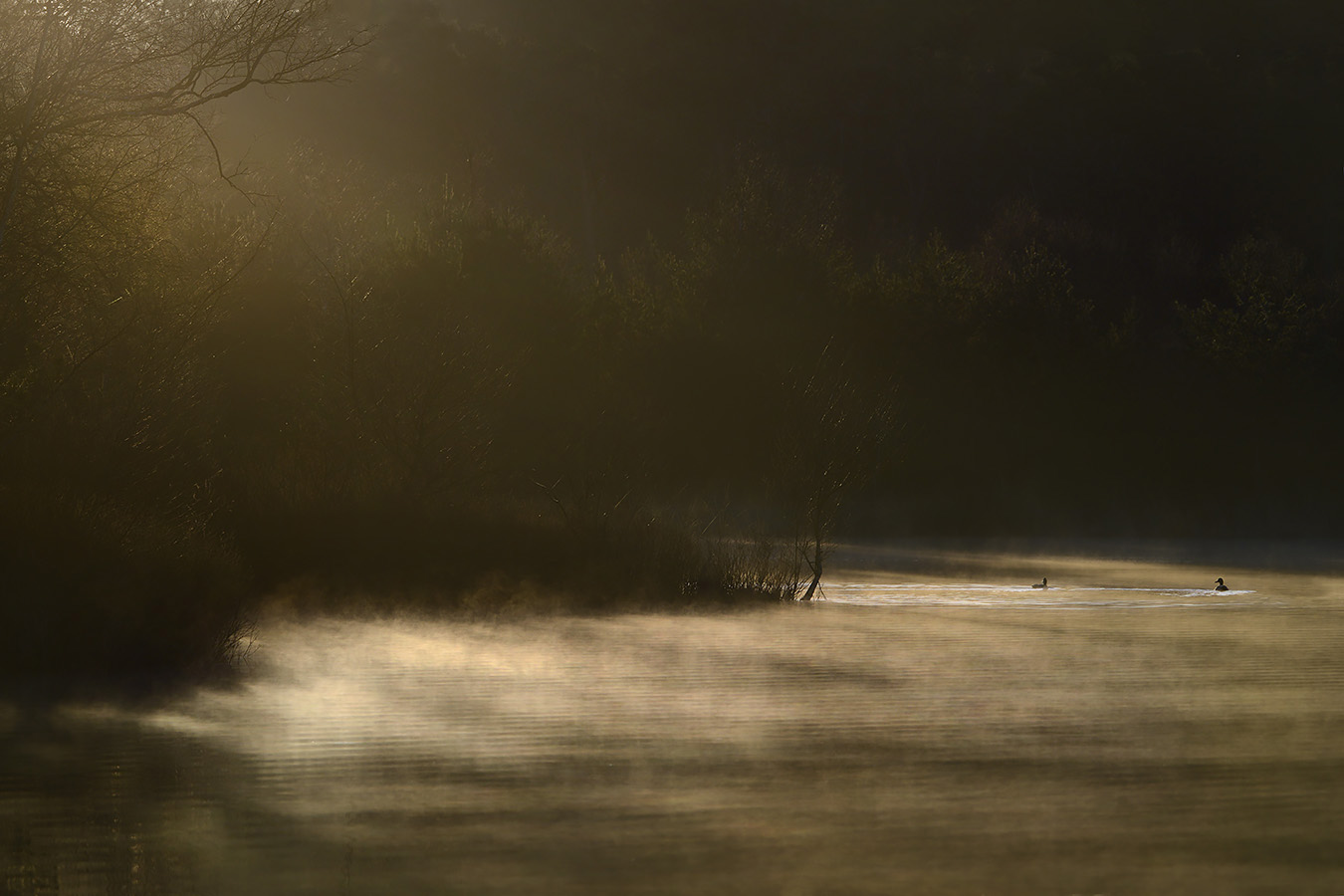 groot goorven oisterwijk 2-2023 6811