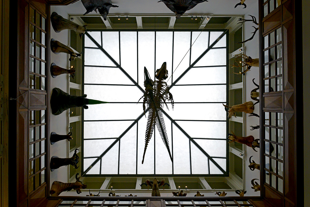 het natuurhistorisch rotterdam 3-2022 1316