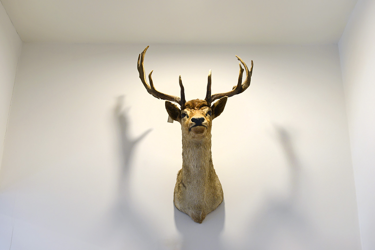 het natuurhistorisch rotterdam 3-2022 1395