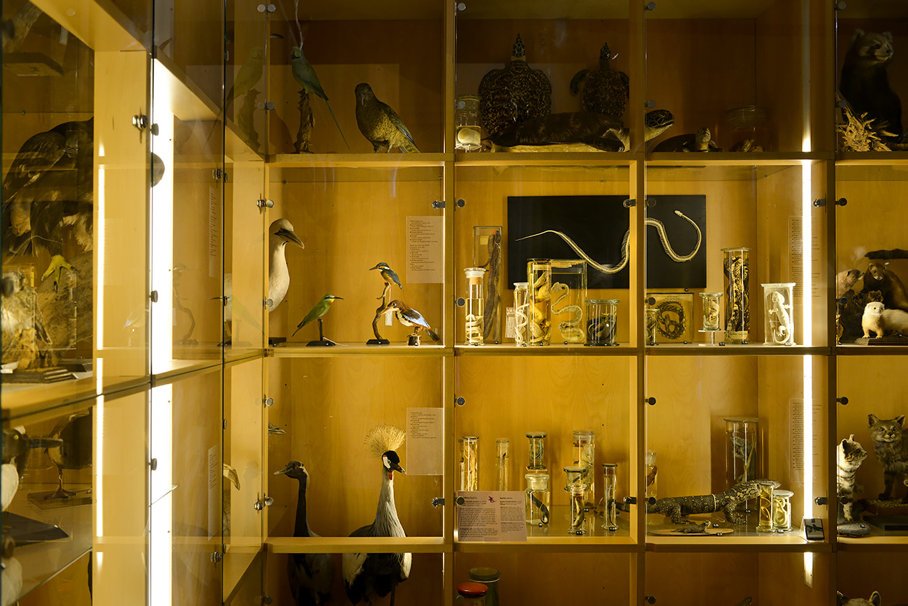 het natuurhistorisch rotterdam 3-2022 1410