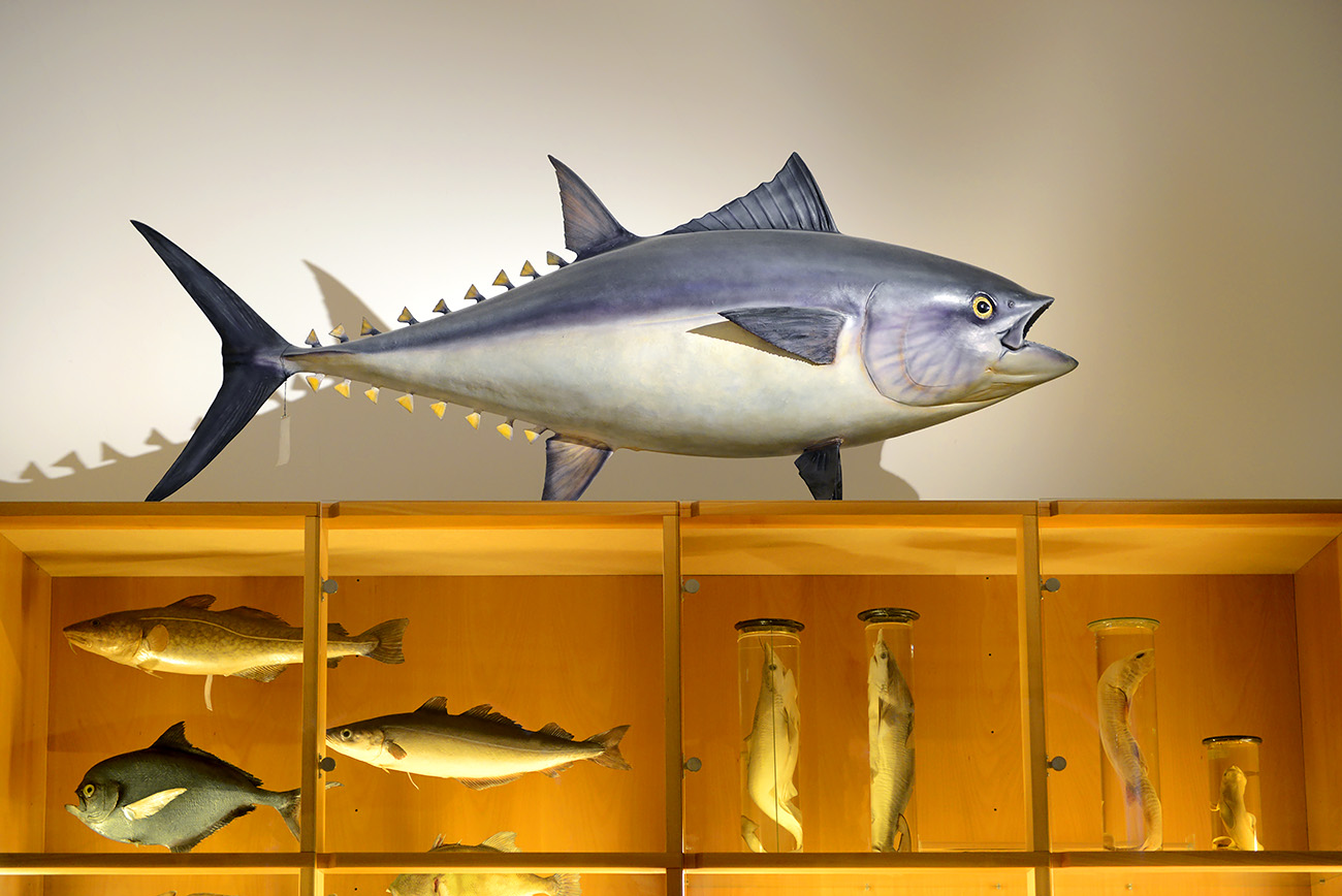 het natuurhistorisch rotterdam 3-2022 1416