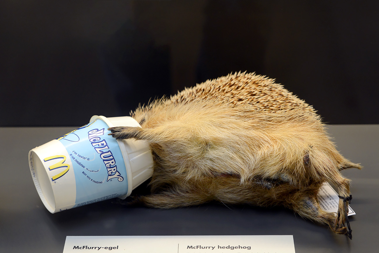 het natuurhistorisch rotterdam 3-2022 1419