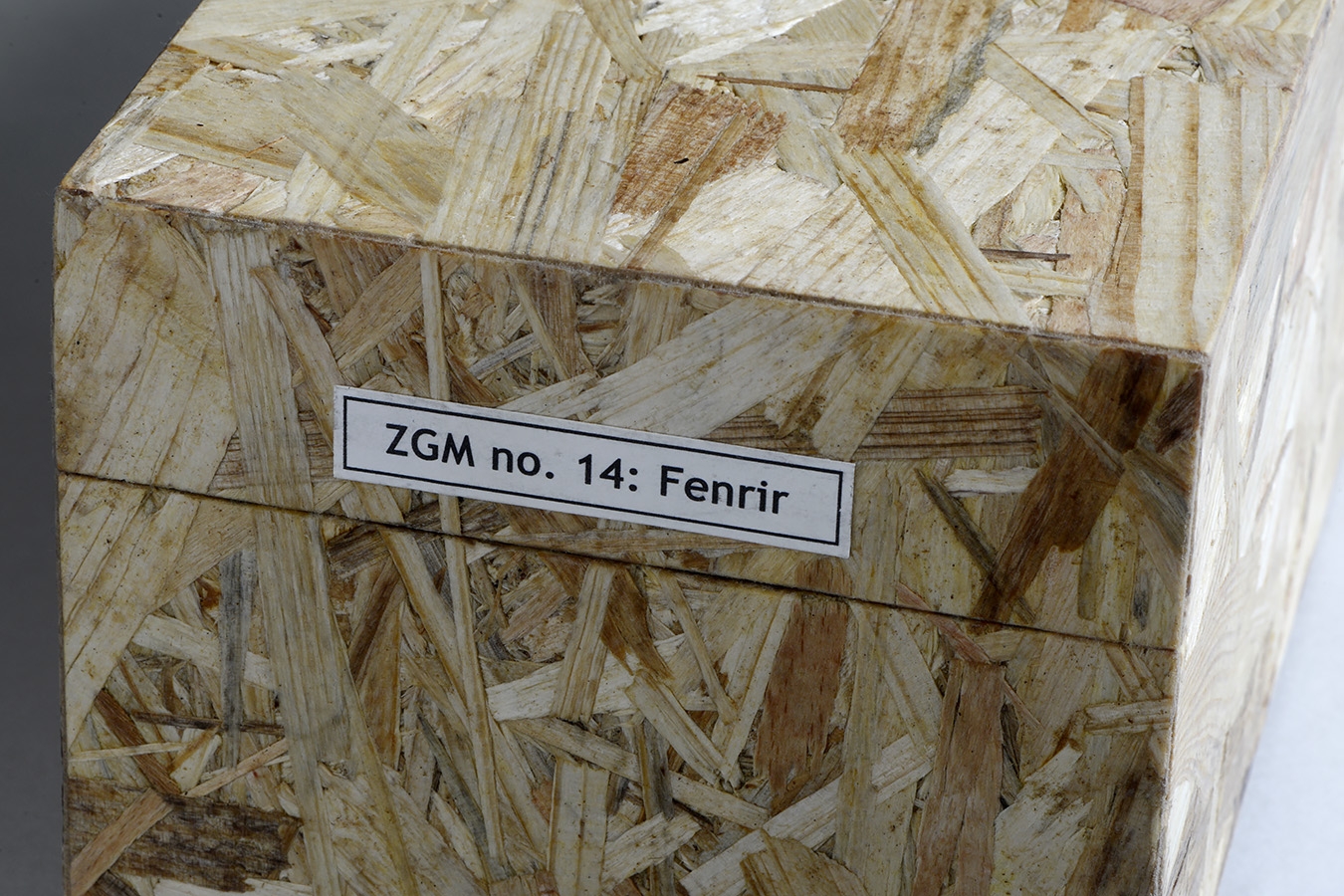 kistje zgm 14 fenrir 12-2024 1849