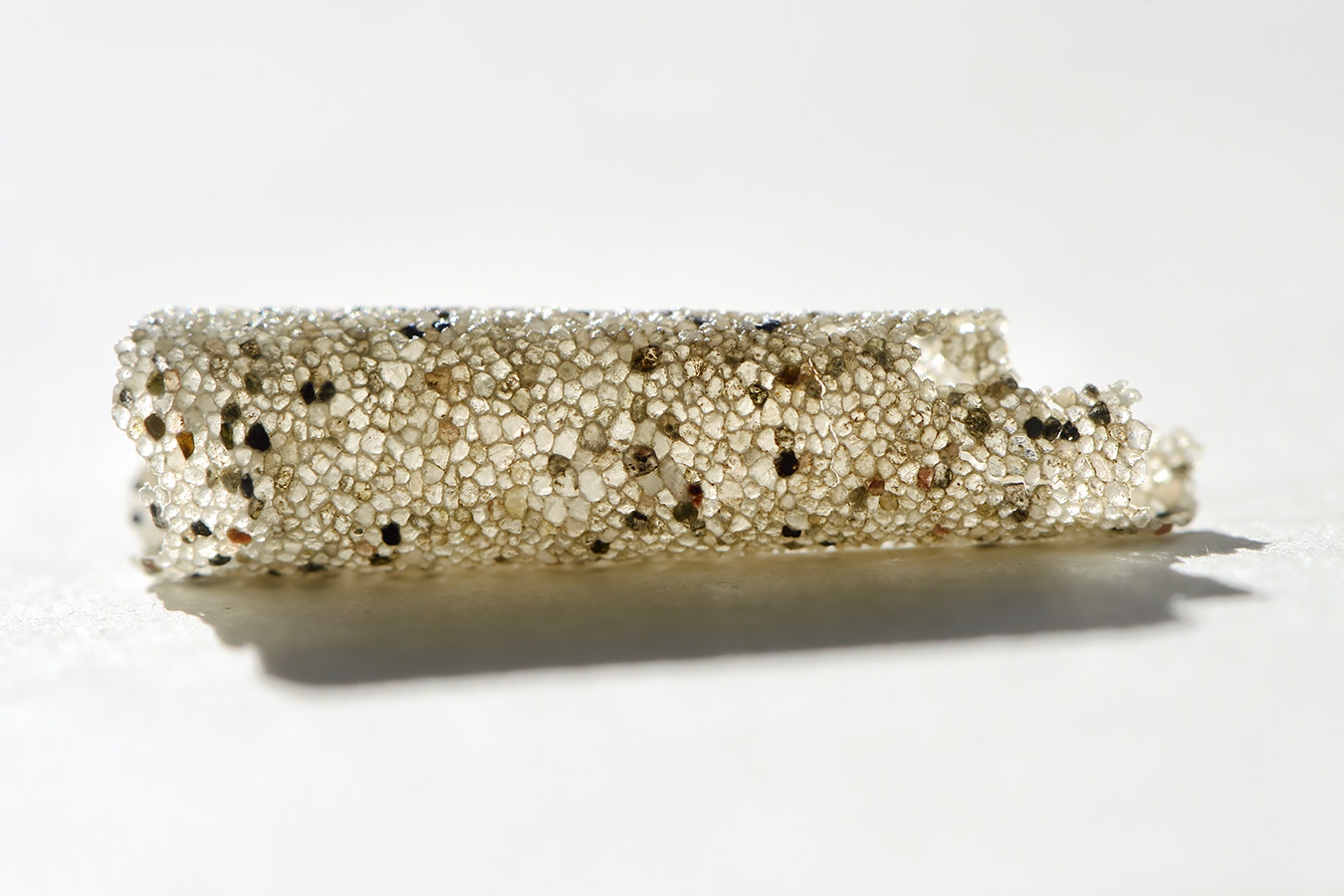 koker goudkammetje (lagis koreni) 10-2024 1293