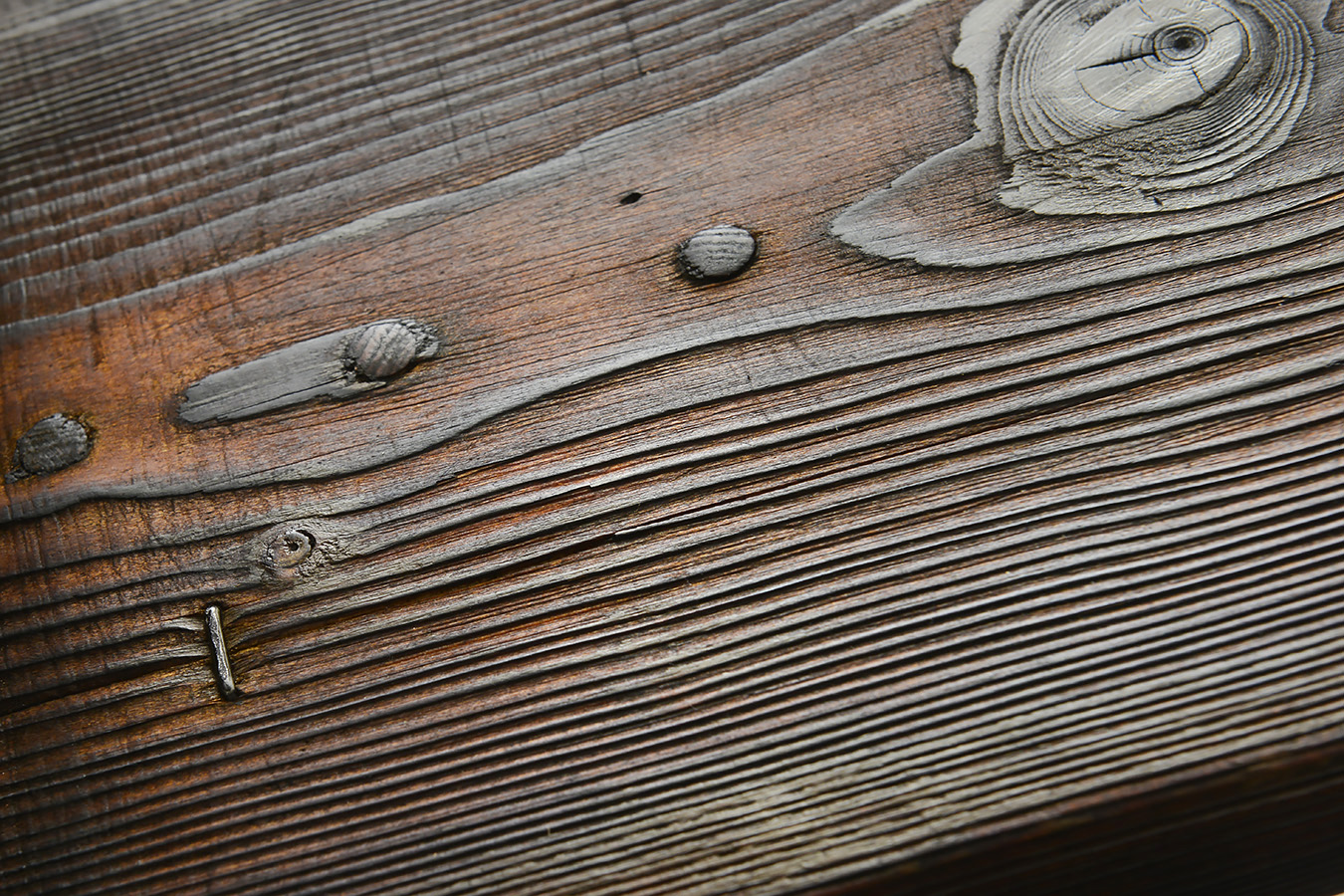 krukje 2 1-2023 6252