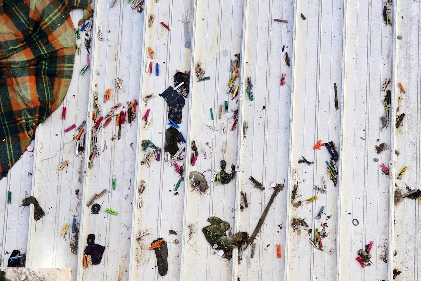 la spezie 8-2024 0743