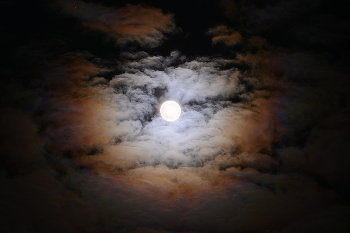 maan aureool 1-2019 7376