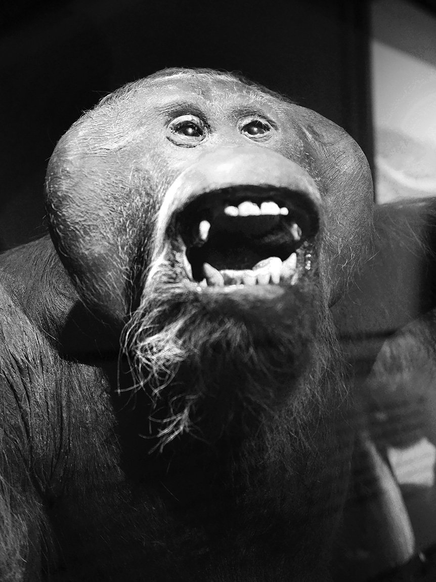 manchester museum 9-2023 8845-